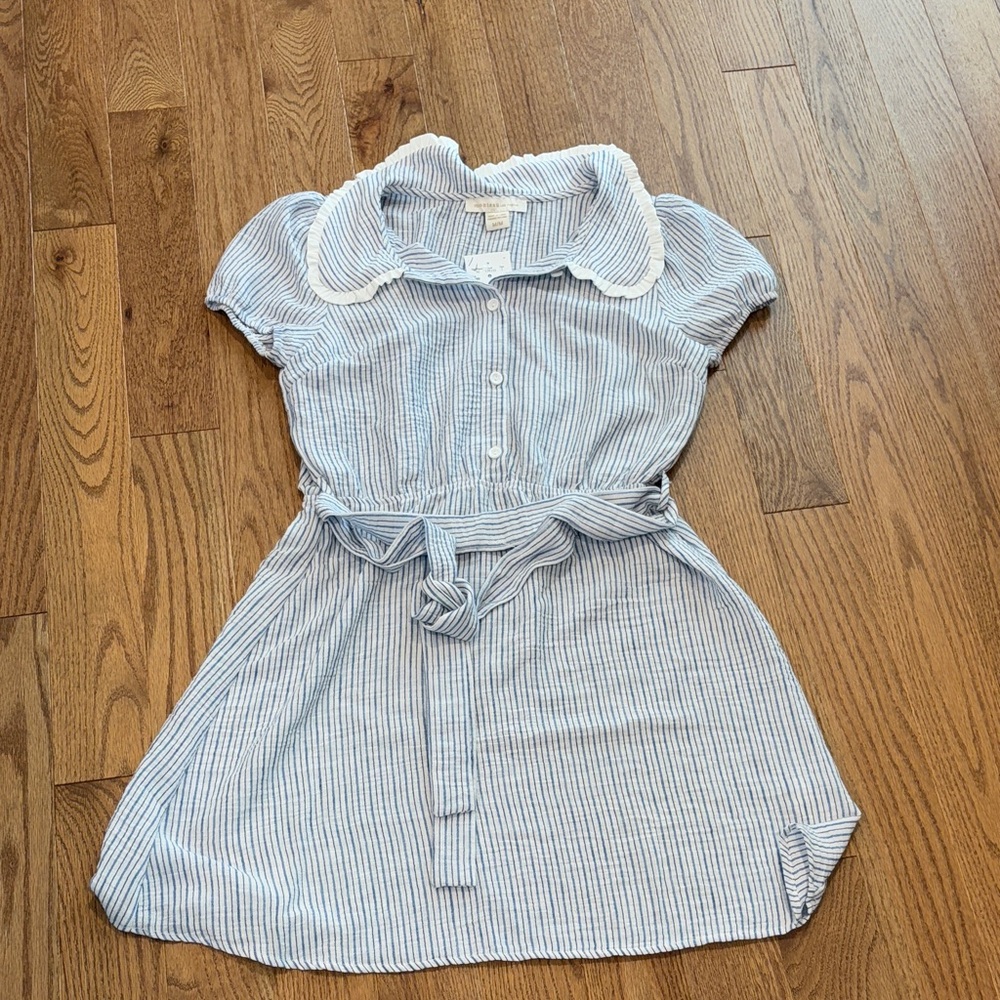 Monteau Blue and White Striped Dress